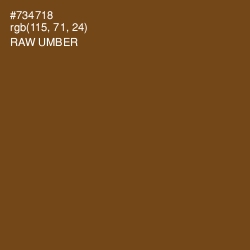 #734718 - Raw Umber Color Image